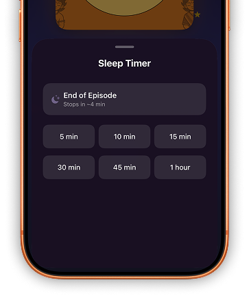Sleep timer controls